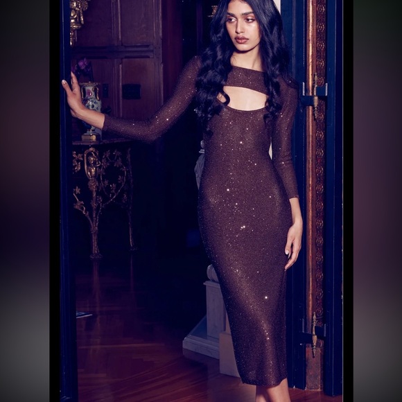 NWT $415 Misa Los Angeles Glittering Brown Midi Dress Size Small (2 piece)
